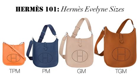 hermes bags shoulder|evelyne bag hermes sizes.